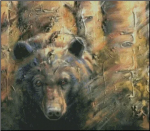 (image for) Bruin Eyes